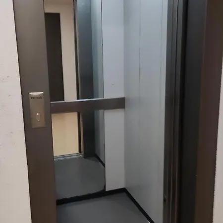 Teresa 托雷维耶哈